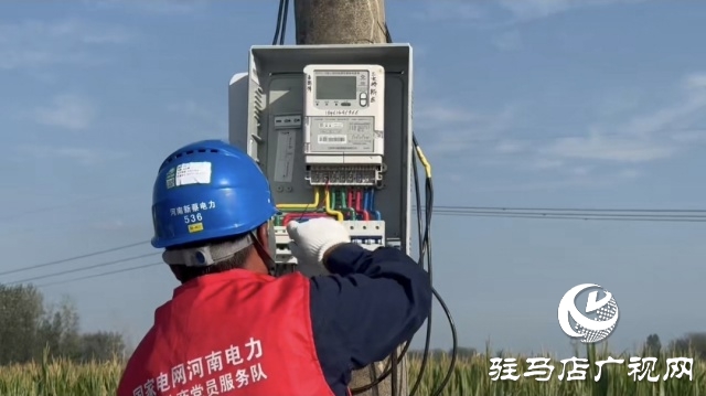 國網新蔡縣供電公司：精細排查筑根基 抗旱保秋顯實效