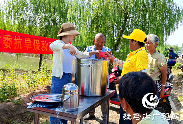 平輿縣楊埠鎮：干群同心送“甘霖” 共筑抗旱“清涼線”