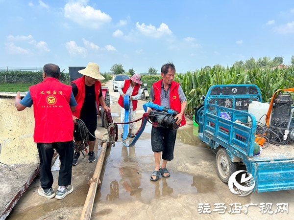 平輿廟灣鎮：干群同心清機井 抗旱保秋助農忙