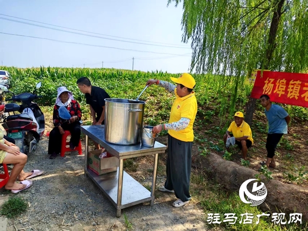 平輿縣楊埠鎮：干群同心送“甘霖” 共筑抗旱“清涼線”