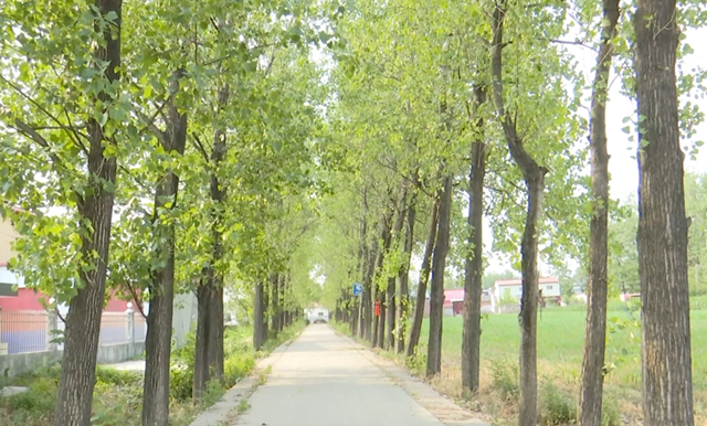 驛城區朱古洞村：文明生態村建設鋪就鄉村振興路