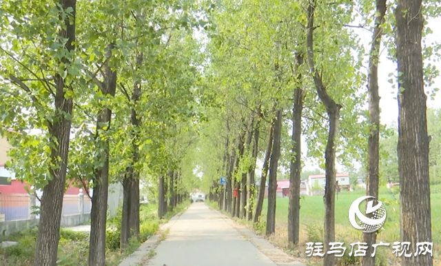 驛城區朱古洞村：文明生態村建設鋪就鄉村振興路