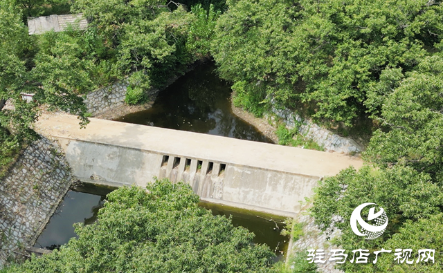 驛城區老河鄉：百年古栗園 繪就生態畫卷