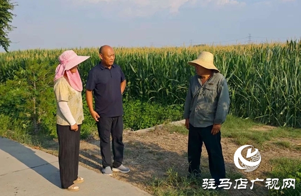  西平縣蘆廟鄉：干群合力 抗旱給力
