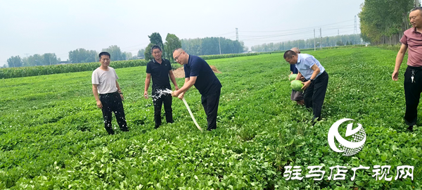 平輿縣中等職業學校助力“抗旱保秋”，守護群眾“糧袋子”