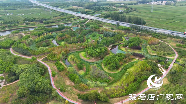 天中濕地植物園：從污水凈化到詩意棲居 勾勒生態新圖景