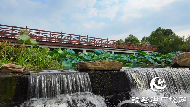 天中濕地植物園：從污水凈化到詩意棲居 勾勒生態新圖景