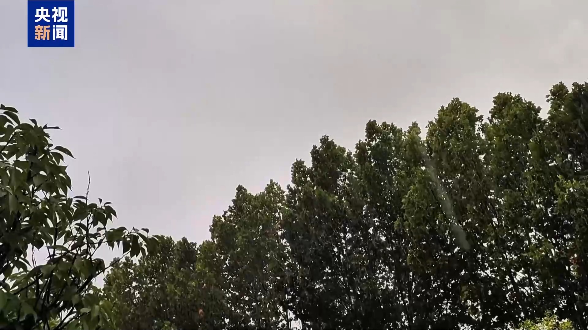 高濕天氣致強降雨多發，氣象專家分析8月下旬天氣形勢