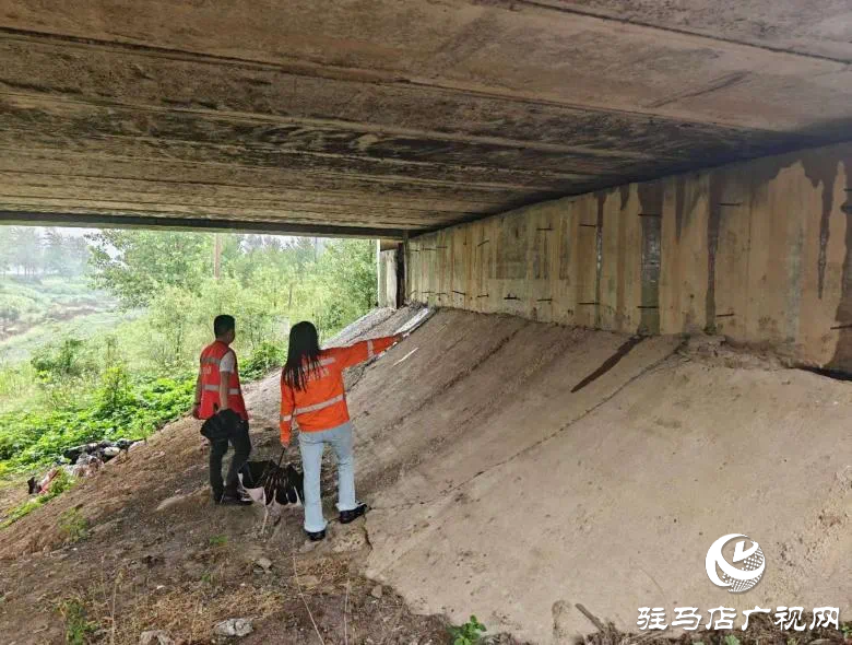 正陽縣公路事業發展中心：筑牢安全防線 守護出行平安