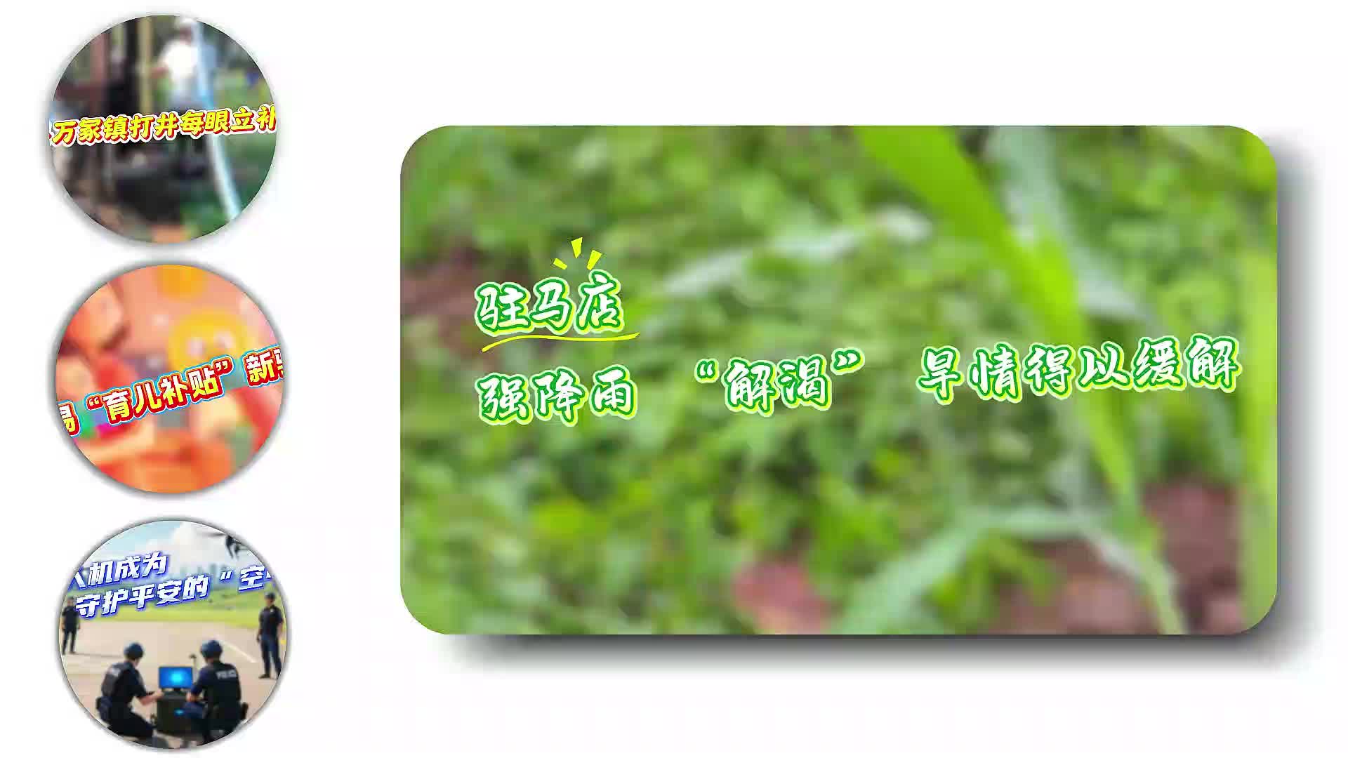 強(qiáng)降雨 “解渴” 駐馬店旱情得以緩解…… |《今日駐馬店》資訊第162期