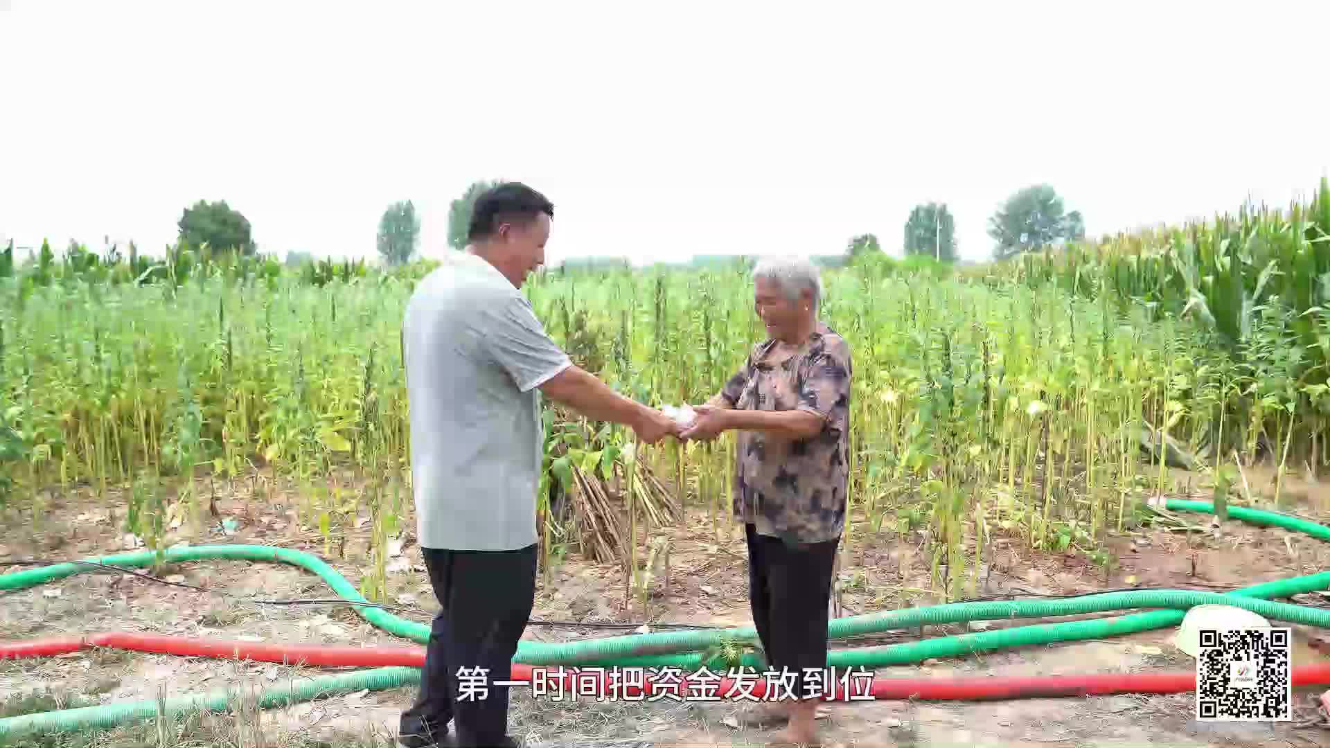贊！平輿縣萬冢鎮(zhèn)打井每眼立補(bǔ)200元