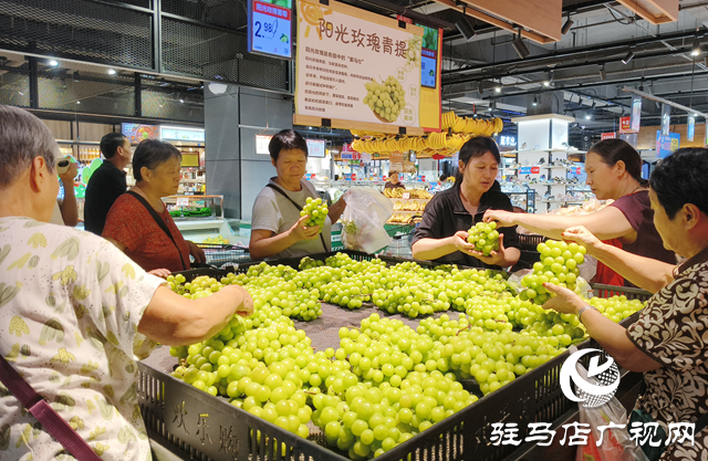 陽光玫瑰價格 “大跳水” 從 “貴族水果” 變市民餐桌常客