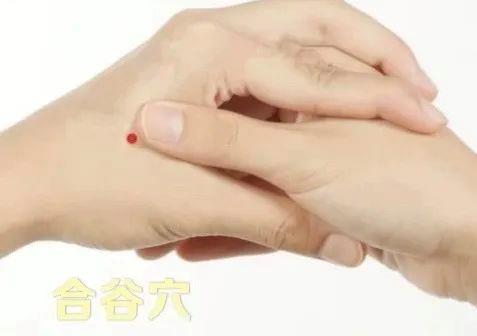立秋如何養(yǎng)肺？怎么吃更健康？換季養(yǎng)生小貼士請查收