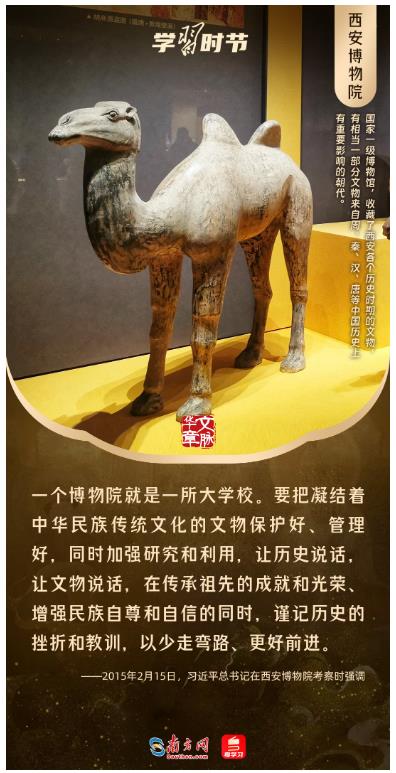 文脈華章丨暑期“博物館熱”，跟著總書記探尋中華文明