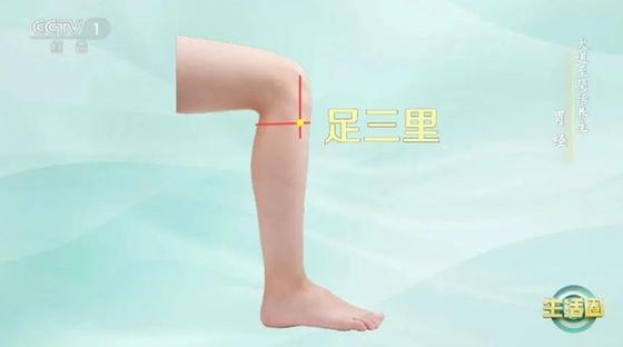 立秋如何養(yǎng)肺？怎么吃更健康？換季養(yǎng)生小貼士請查收