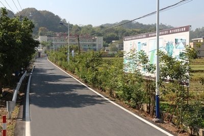 村道電線低垂致傷亡，誰該為逝去的生命負責？