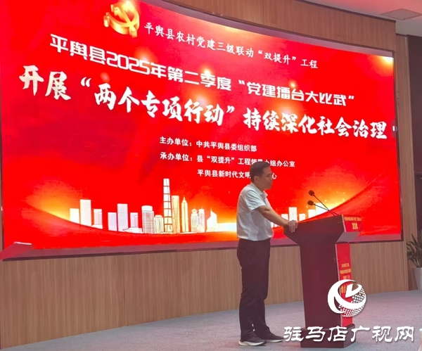 平輿東皇街道：以實干為筆 以擔當為墨 書寫黨建引領新篇章