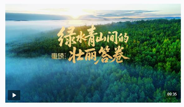 重磅微視頻丨綠水青山間的壯麗答卷
