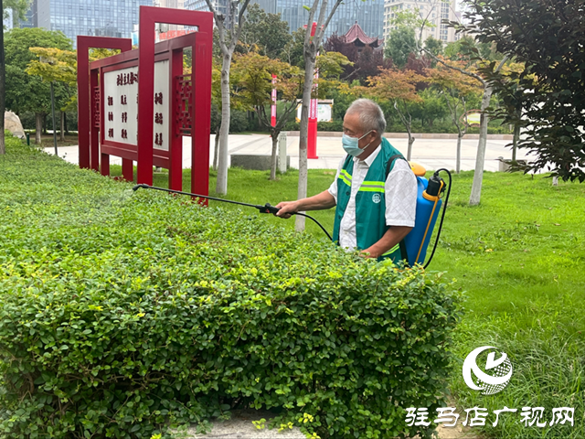 駐馬店市區白粉虱活躍引關注 園林部門加強防治提醒市民防護
