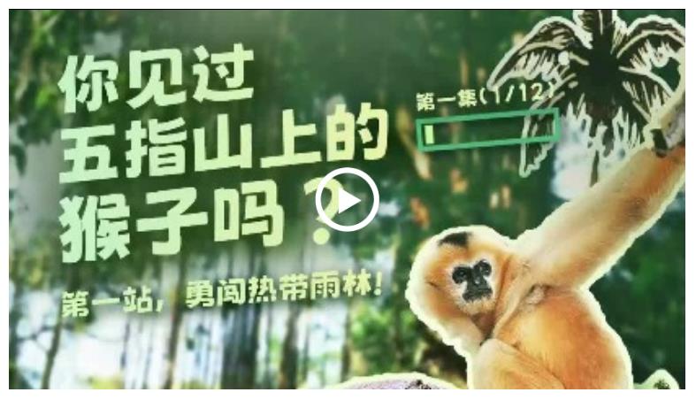 幸會(huì)中國(guó) | 走進(jìn)五指山，探秘“人與自然和諧共生”之道
