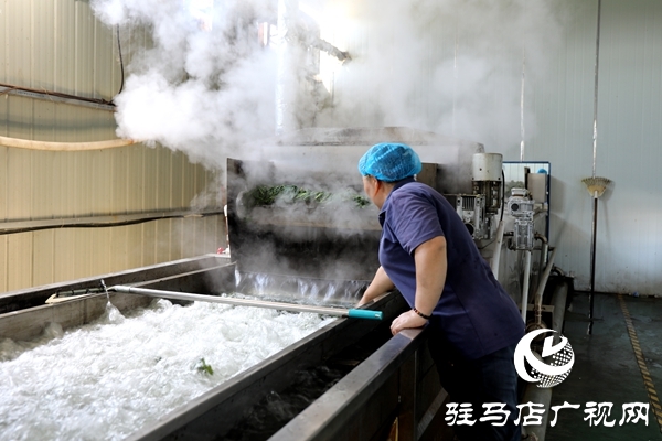 平輿縣：小芝麻葉“織”就富民大產(chǎn)業(yè)