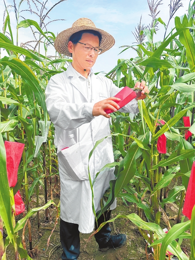 遭受六十四年一遇極端高溫干旱“烤”驗 抗旱保秋 河南夠拼