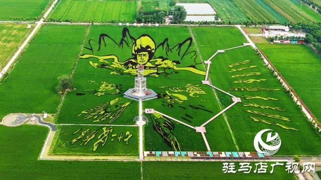 “稻夢田園·活力鄉村”體育嘉年華將在確山留莊稻田公園開啟