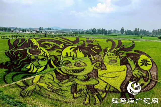 “稻夢田園·活力鄉村”體育嘉年華將在確山留莊稻田公園開啟