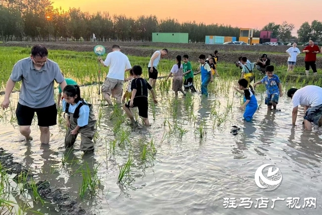 “稻夢田園·活力鄉村”體育嘉年華將在確山留莊稻田公園開啟