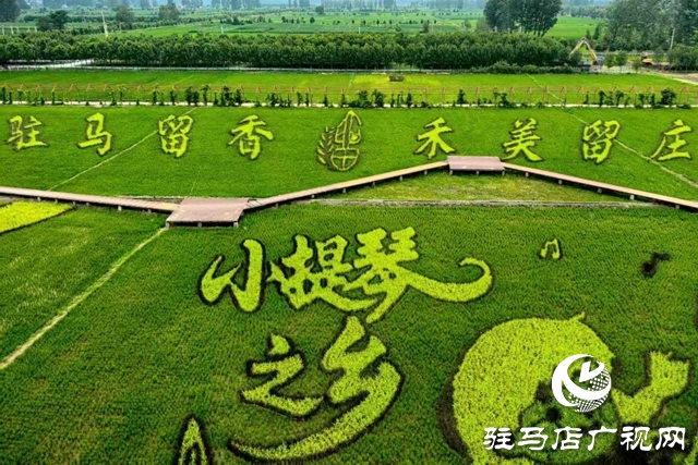 “稻夢田園·活力鄉村”體育嘉年華將在確山留莊稻田公園開啟