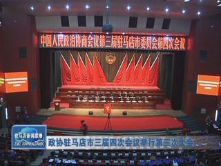 政協駐馬店市三屆四次會議舉行第三次會議（視頻）